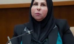 النائب عالية نصيف : " قرار الكونغرس الأمريكي بإلغاء التفويضات يضاف لسلسلة نجاح رئيس الوزراء"